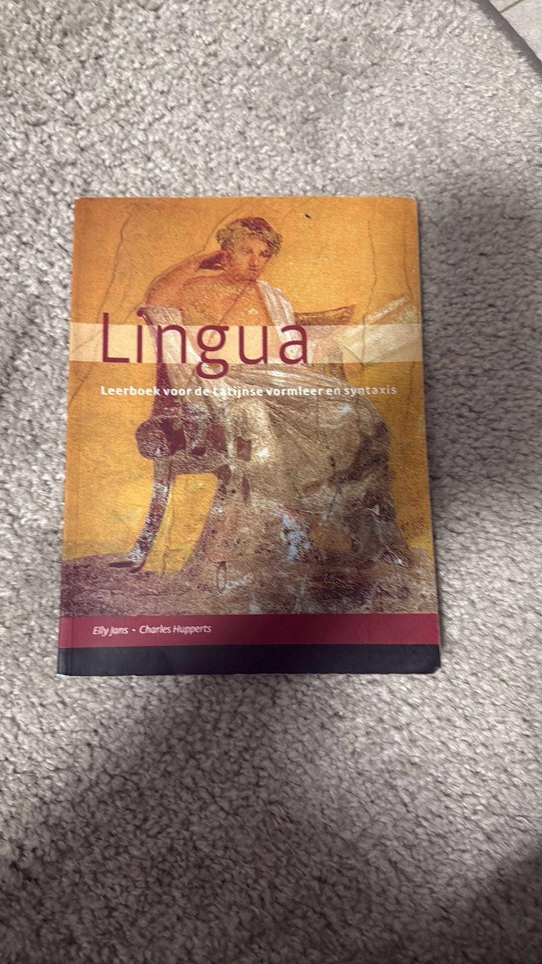Charles Hupperts - Lingua, Charles Hupperts; Elly Jans, Ophalen of Verzenden, Zo goed als nieuw, Nederlands