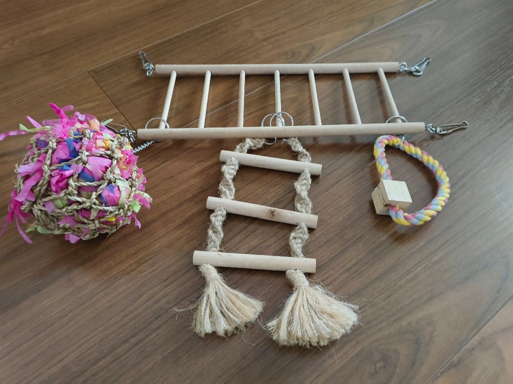 Accessoires Knaagdieren (Ratten), Dieren en Toebehoren, Ophalen, Nieuw, Overige typen