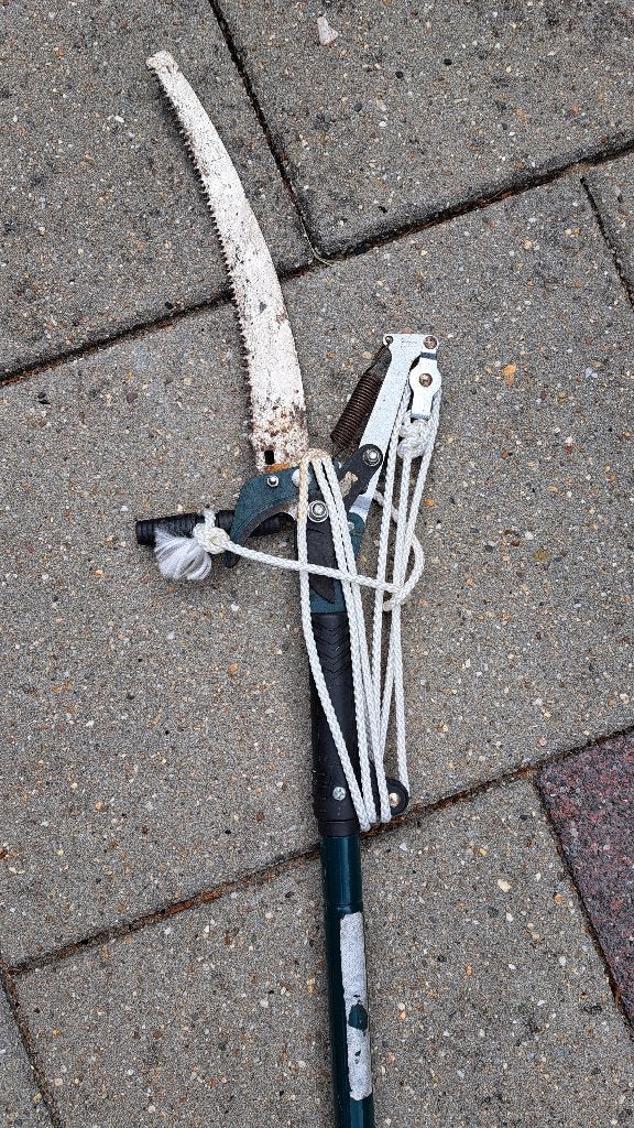 Uitschuifbare takkenschaar / takkenzaag, Tuin en Terras, Ophalen, Gebruikt, Telescopisch