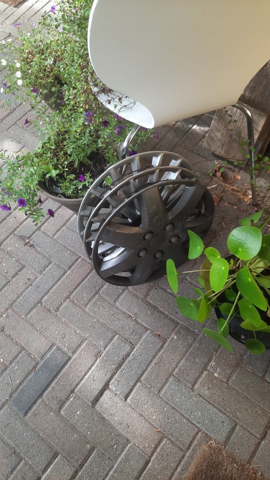 Set van 3 wieldoppen, Ophalen of Verzenden, Gebruikt