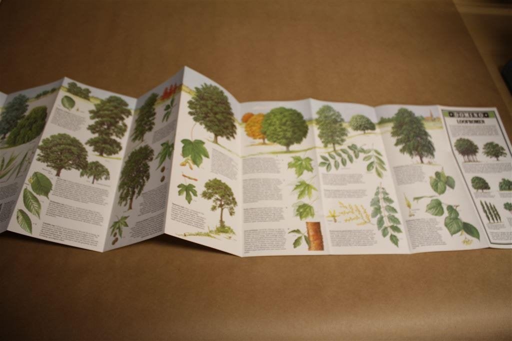 Uitvouwbare informatiefolder Domino Loofbomen., Ophalen of Verzenden, Zo goed als nieuw, Vogels
