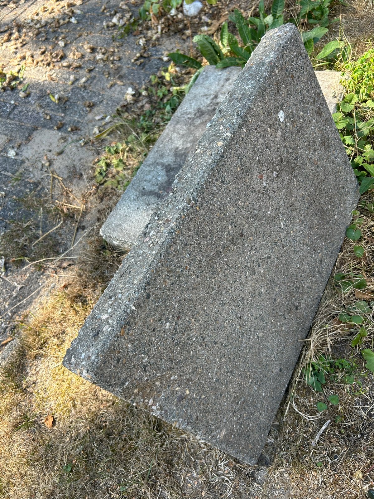 Gratis: 3 betonnen stoeptegels 40x60x6 cm in Dieren, Ophalen, Gebruikt, Overige typen, Minder dan 5 m²