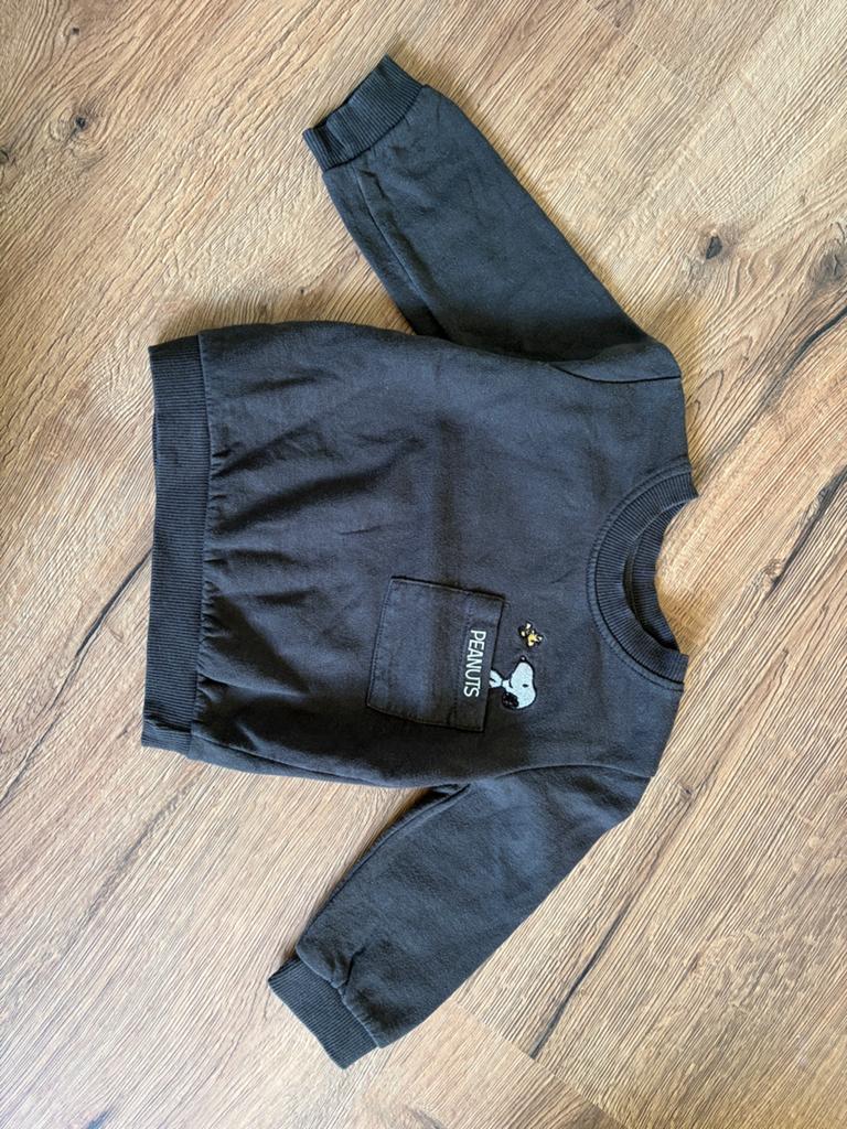 Truitje peanuts maat 80, Kinderen en Baby's, Babykleding | Maat 80, Ophalen of Verzenden, Gebruikt, Jongetje of Meisje, Truitje of Vestje