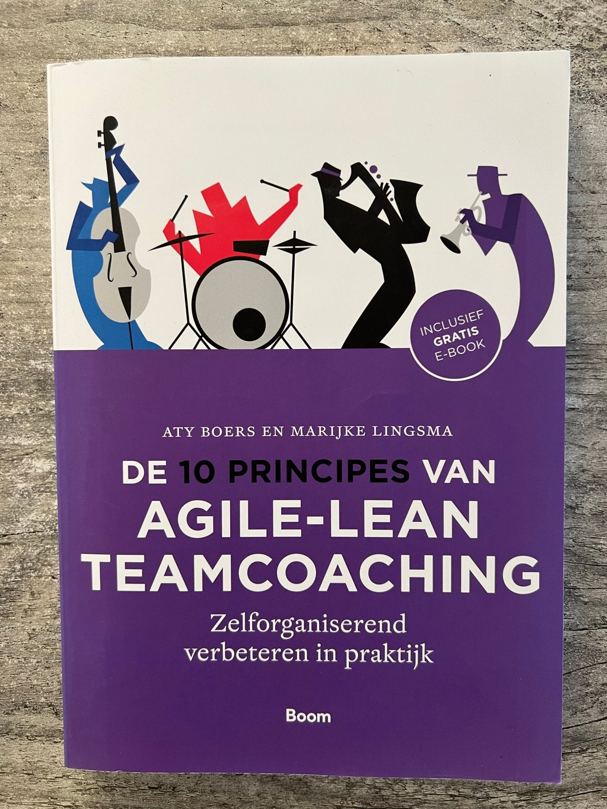 De 10 principes van Agile-Lean Teamcoaching + E-book, Boeken, Advies, Hulp en Training, Ophalen, Zo goed als nieuw
