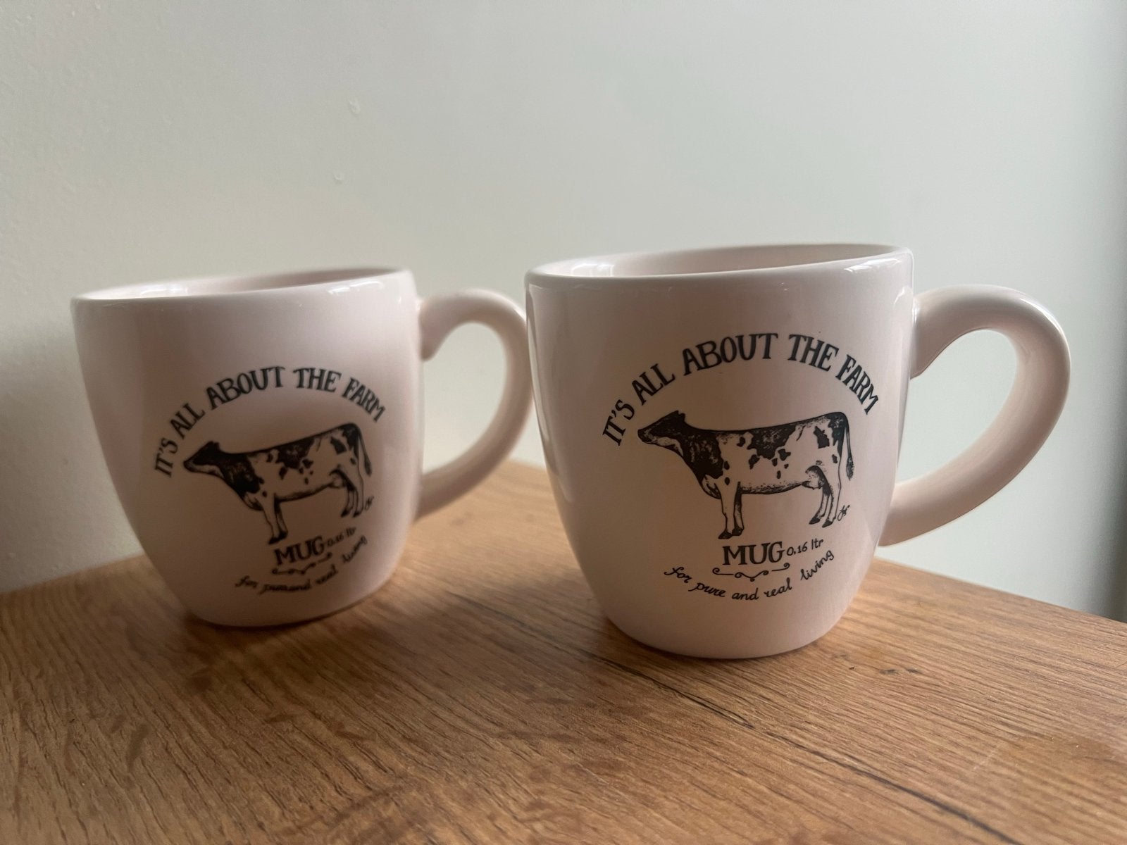 Set van 2 Jet by Ter Steege mokken - 'It's all about the far, Huis en Inrichting, Keuken | Servies, Keramiek, Vintage, Zo goed als nieuw