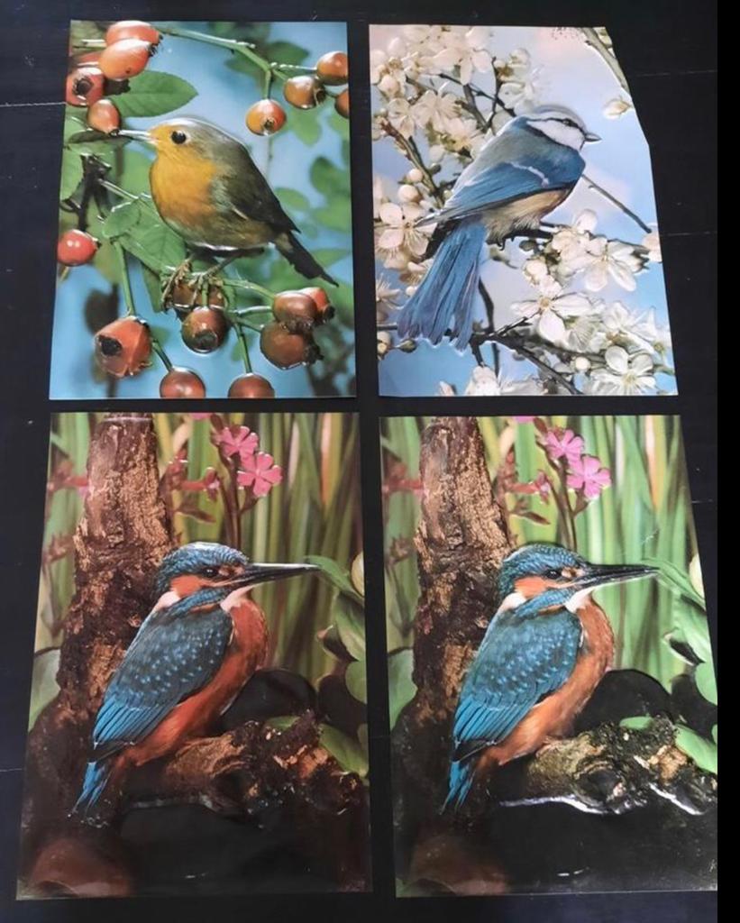 Vintage vogel posters, Ophalen of Verzenden, Schilderij