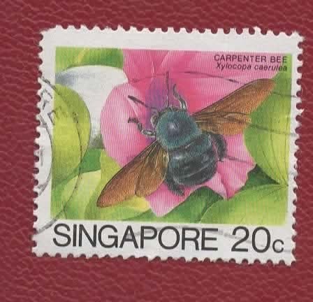 Fauna - Dieren - Bijen - Singapore - the Carpenter Bee, Verzenden, Gestempeld, Dier of Natuur