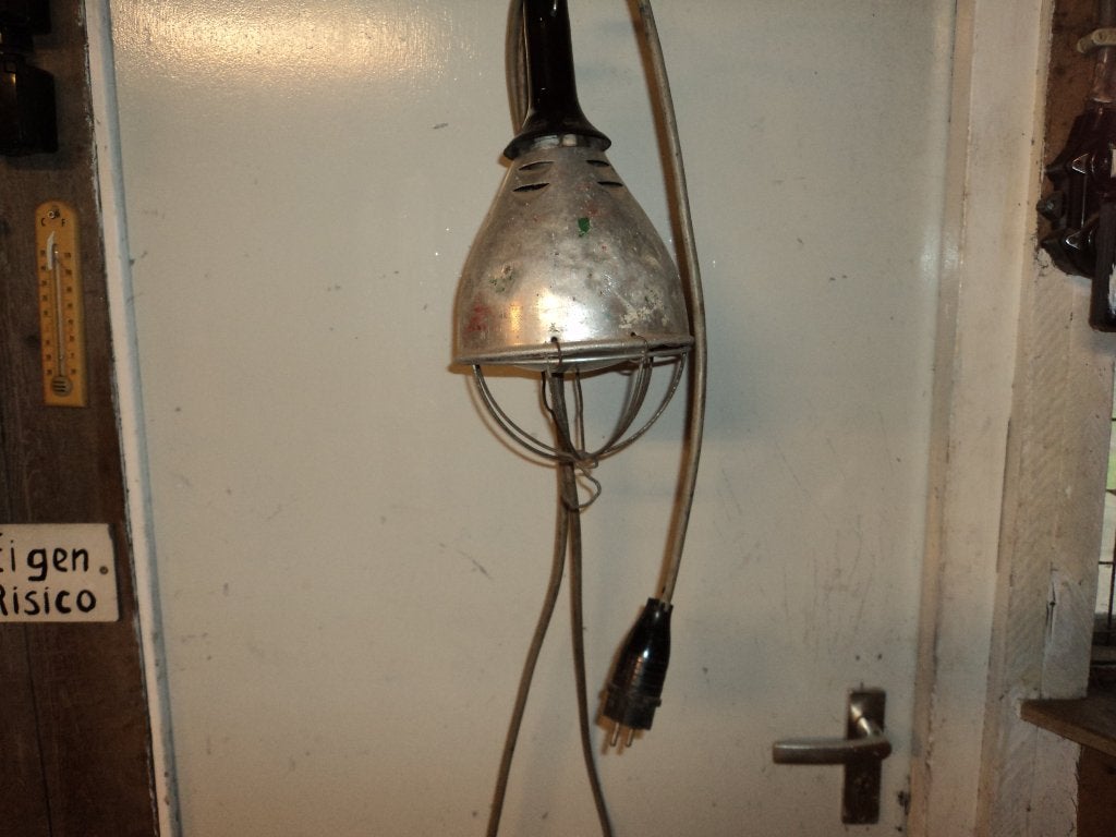verwarmings lamp, Meerdere dieren, Schaap, 0 tot 2 jaar