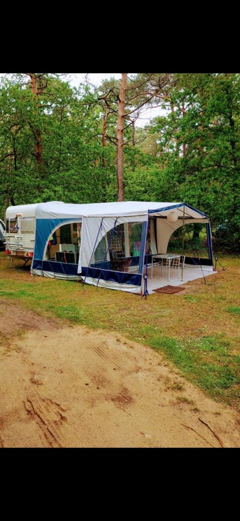 Avento Master 395 caravan / mover 2023 /voortent + luifel, Treinzit, Mover, Avento