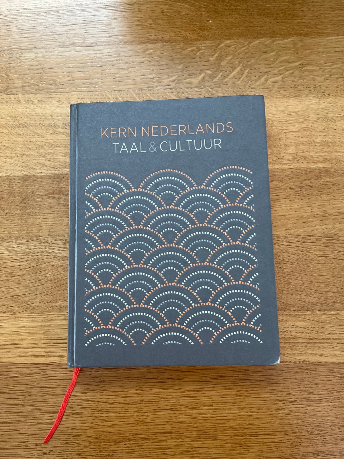 Kern Nederlands Taal & Cultuur - Zo goed als nieuw, Boeken, Ophalen of Verzenden, Alpha, Nieuw, Overige niveaus