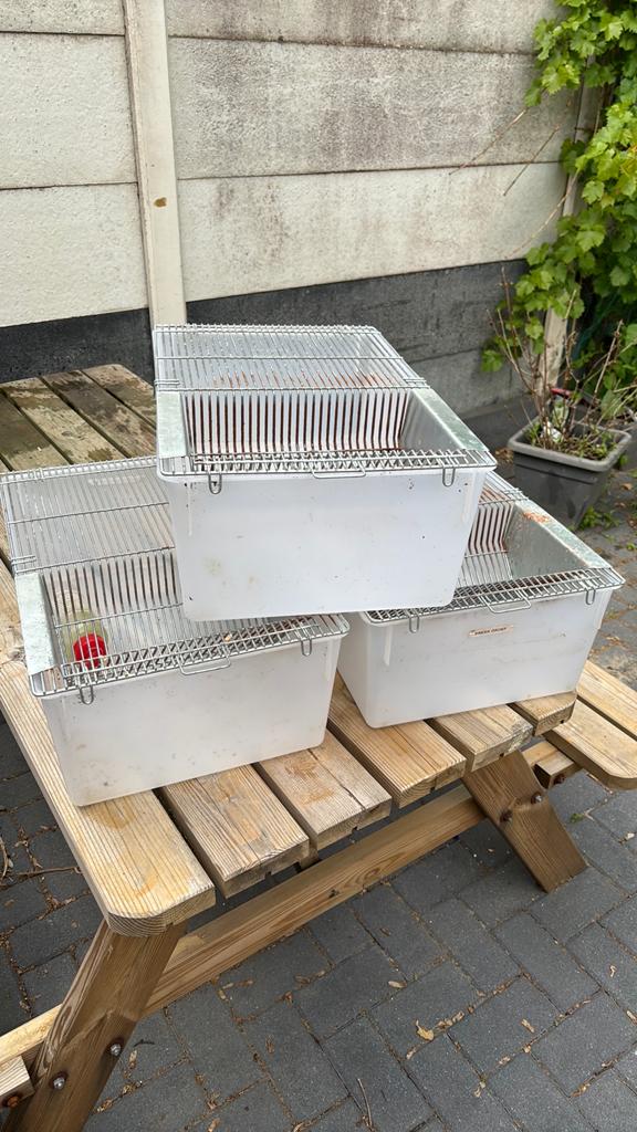 T4 kweekbaken, Ophalen, Zo goed als nieuw, Kooi, Minder dan 60 cm