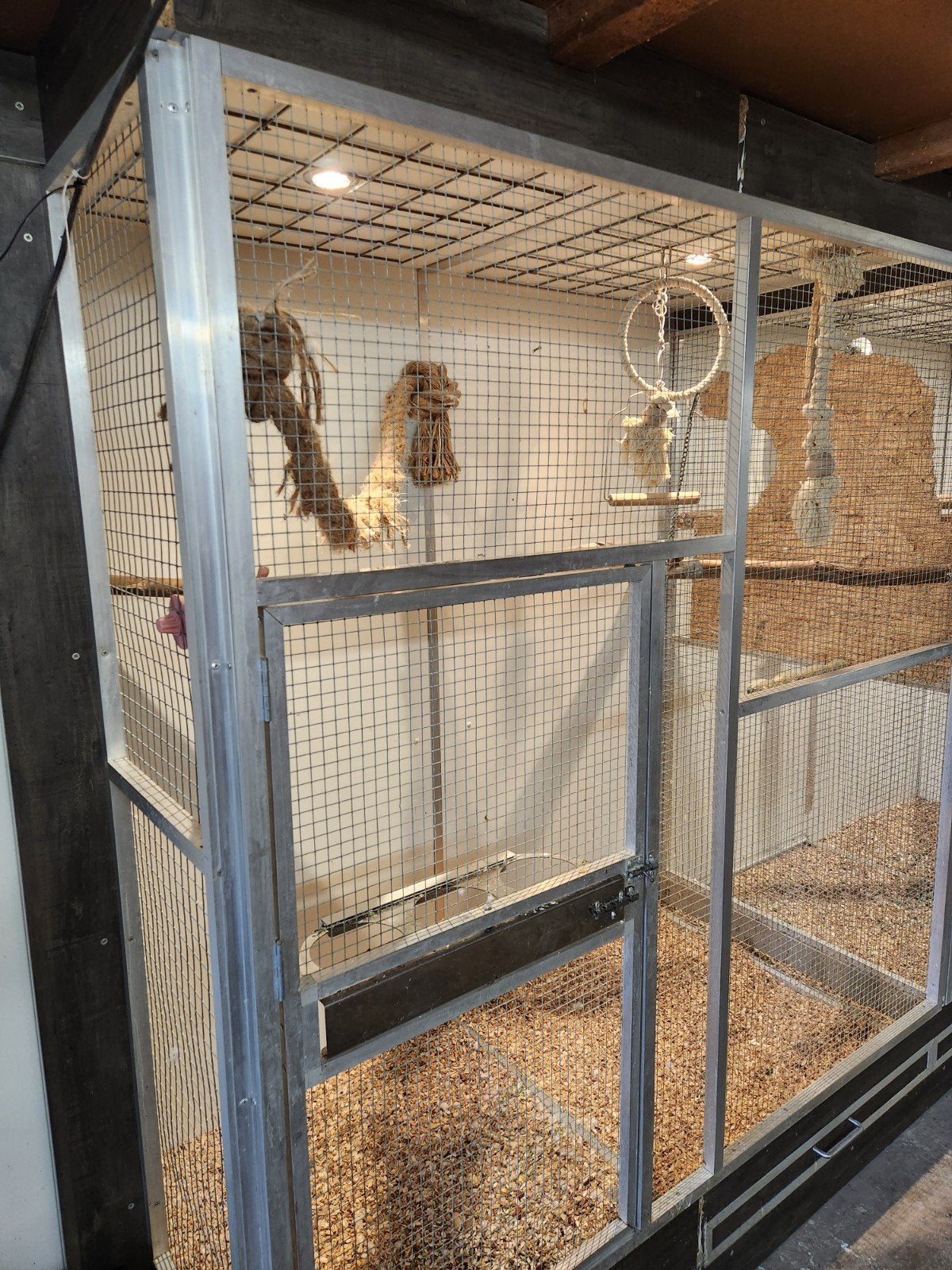 Tijdelijke vogelopvang Dordrecht, Meerdere dieren