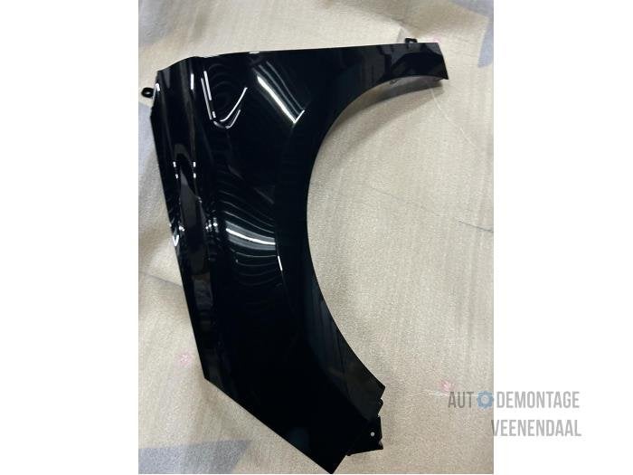 Scherm links-voor van een Renault Clio (TEGNE), -, Renault, -, Nieuw