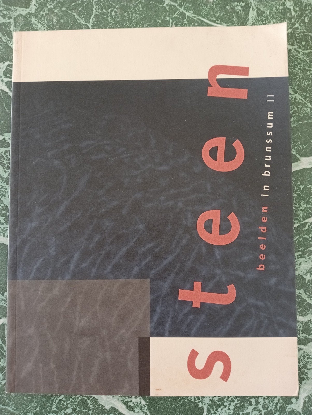 Steen: Beelden in Brunssum II - Kunstboek, Ophalen of Verzenden