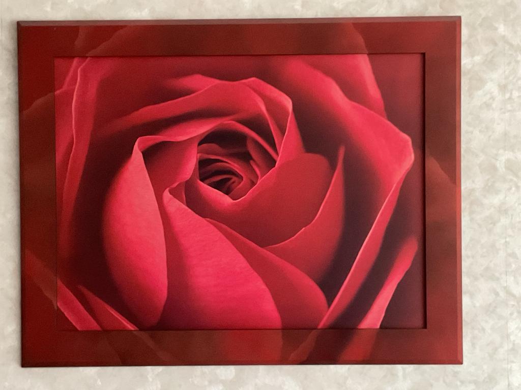 Mooi schilderij Roos., Antiek en Kunst, Ophalen of Verzenden