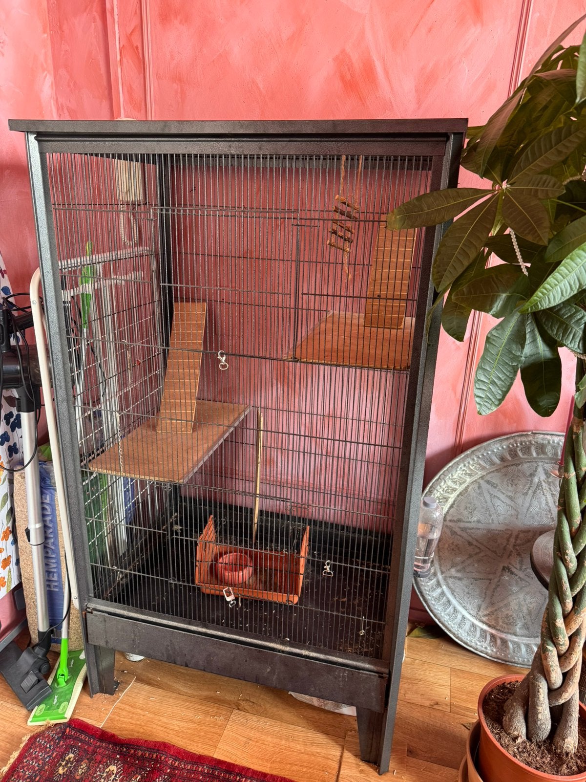Ratten kooi, Ophalen, Kooi, Gebruikt, 90 cm of meer