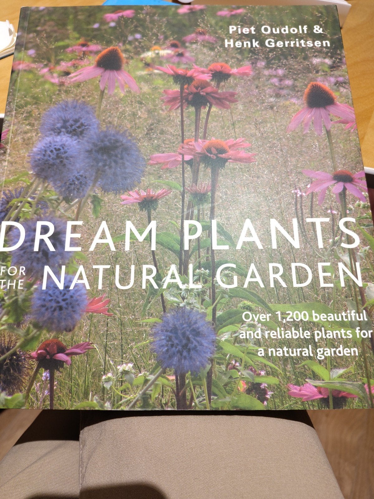 Dream Plants for the Natural Garden - Piet Oudolf, Gerr, Ophalen of Verzenden, Gelezen, Piet Oudolf & Henk Gerritsen, Tuinieren en Tuinplanten