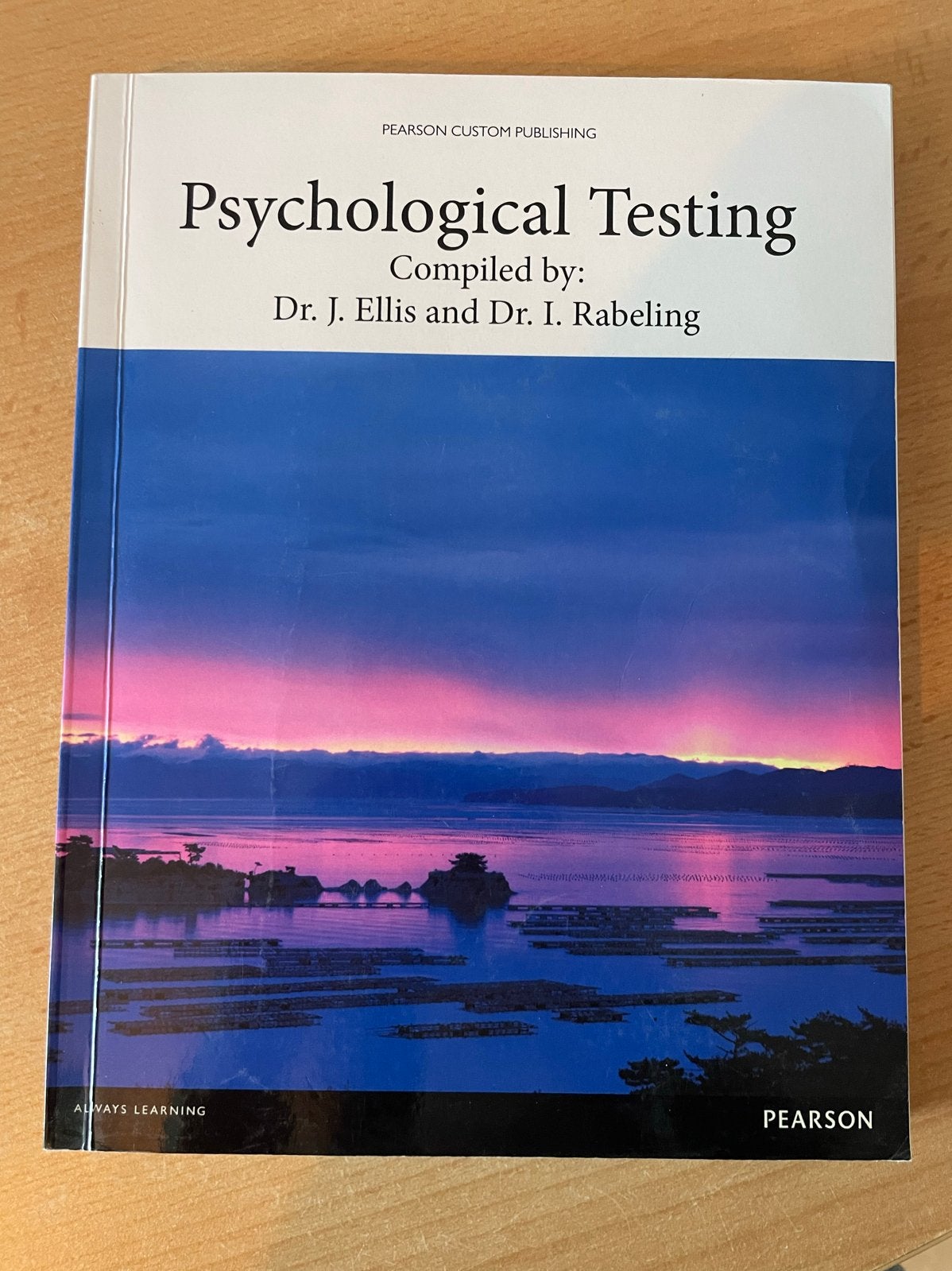 Psychological Testing - Dr. J. Ellis en Dr. I. Rabeling, Boeken, Studieboeken en Cursussen, Ophalen of Verzenden, Gamma, Gelezen