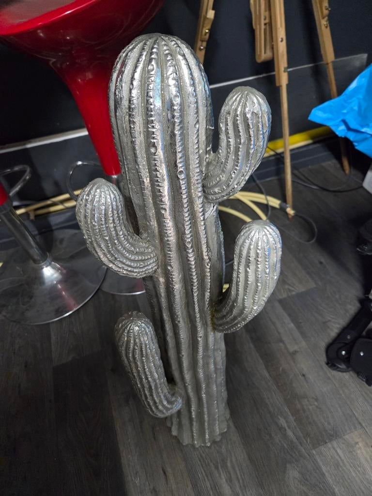 Cactus decoratie, Ophalen, Minder dan 180 cm, Palen