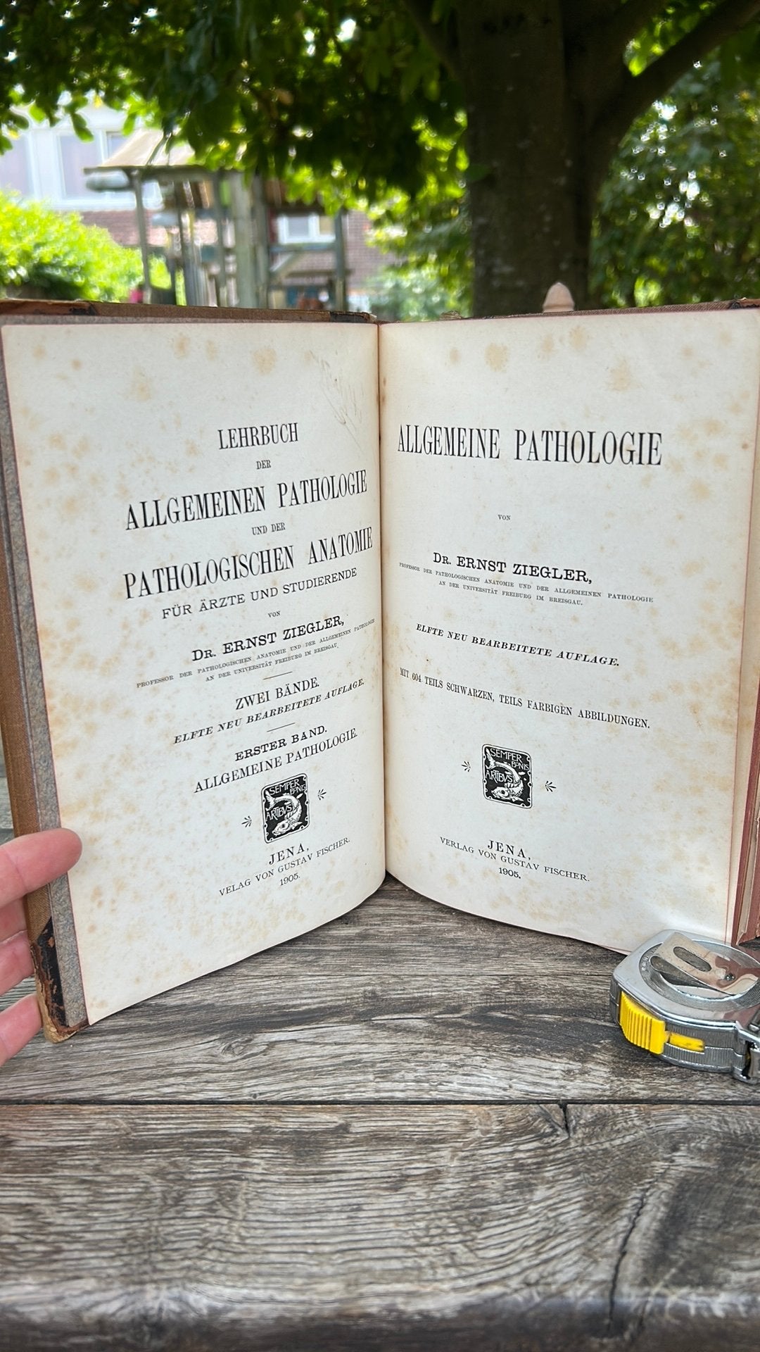 Allgemeine Pathologie Dr Ernst Ziegler erster Band 1905, Antiek en Kunst, Ophalen of Verzenden