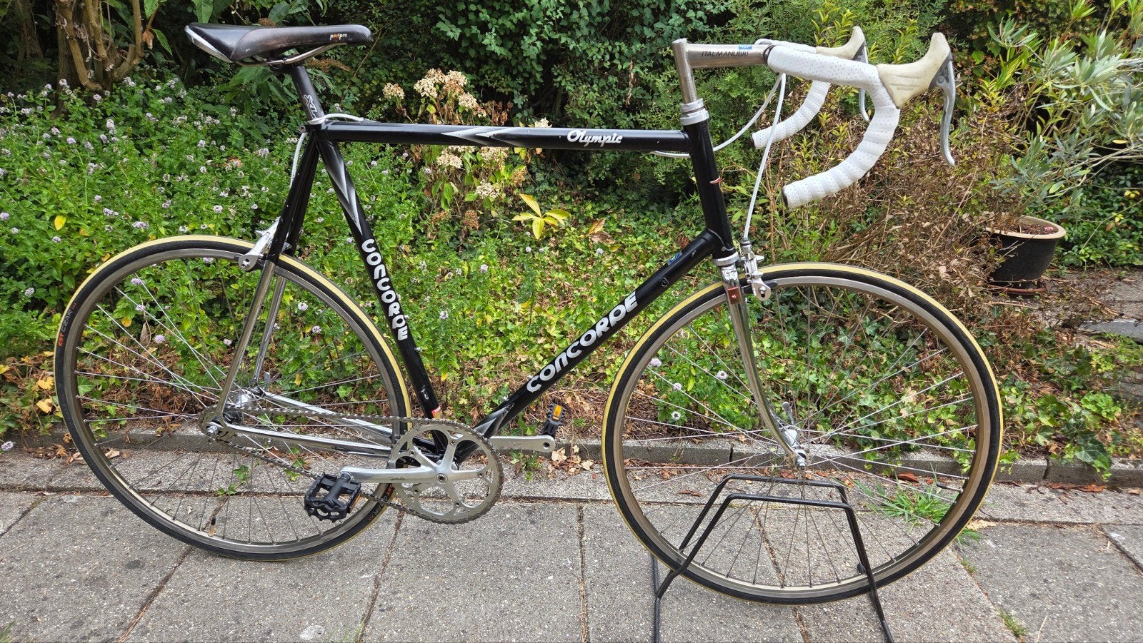Singlespeed concorde met campagnolo - groot frame, Gebruikt, Staal, 61 tot 65 cm, Ophalen