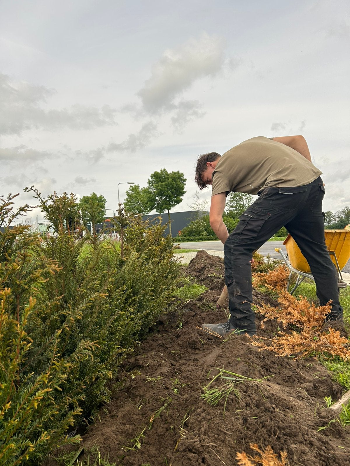Tuinman omgeving deventer, Ophalen, Beton, Terrastegels