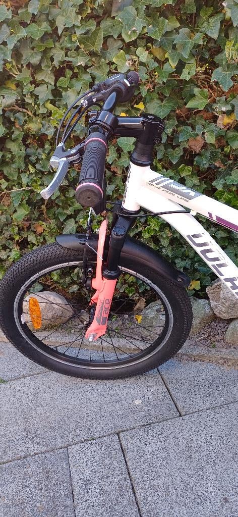 Moutenbike meisje, Fietsen en Brommers, Fietsen | Meisjes, Ophalen, Gebruikt, Versnellingen, Volare