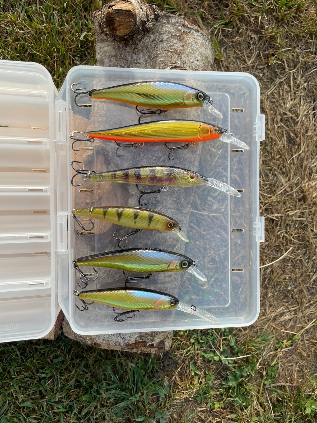 Div twichbaits, Ophalen of Verzenden, Nieuw, Overige typen