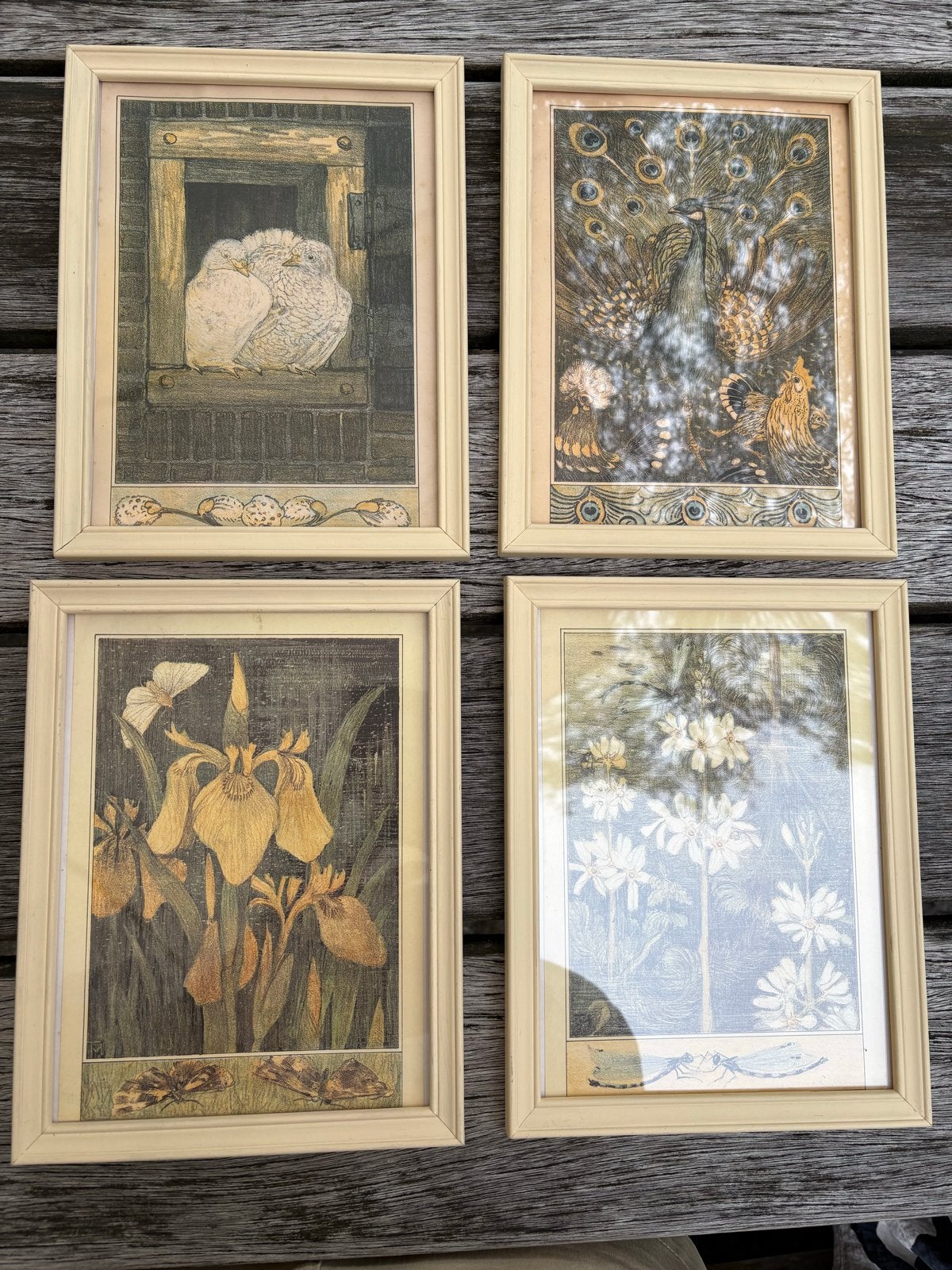 Ingelijste kalenderafbeeldingen Hoyte van Hoytema (4 stuks), Ophalen, Minder dan 50 cm, Gebruikt, Oorspronkelijke maker