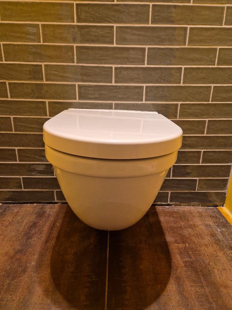 Hangend Toilet, Ophalen, Gebruikt, Toilet