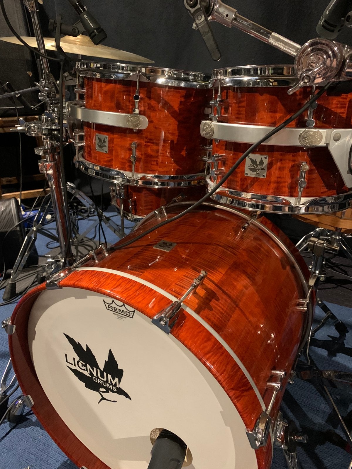 Uitgebreide Lignum Sycamore Maple shellset, Ophalen, Gebruikt, Overige merken