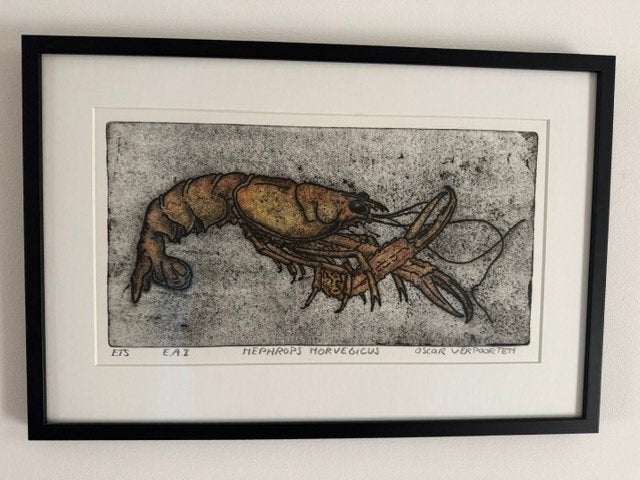 ets, Antiek en Kunst, Ophalen of Verzenden, Flora en Fauna, Ets