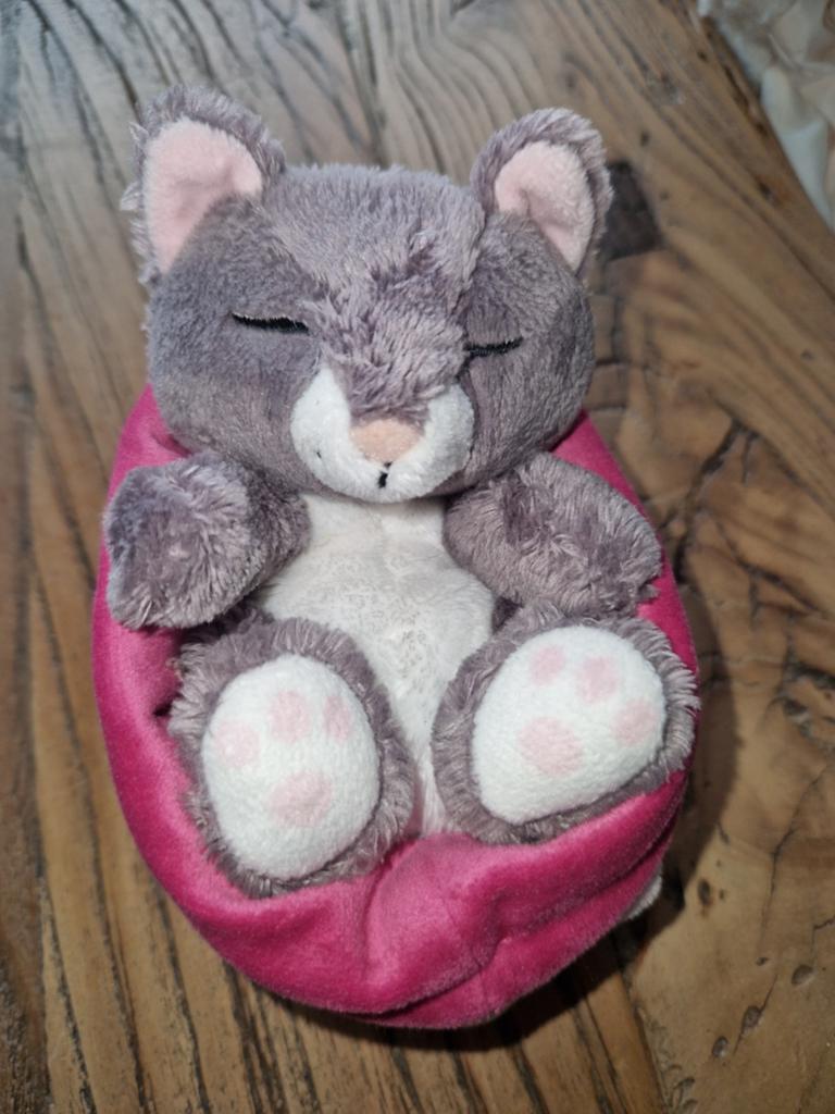 Nici poes slapend, Ophalen of Verzenden