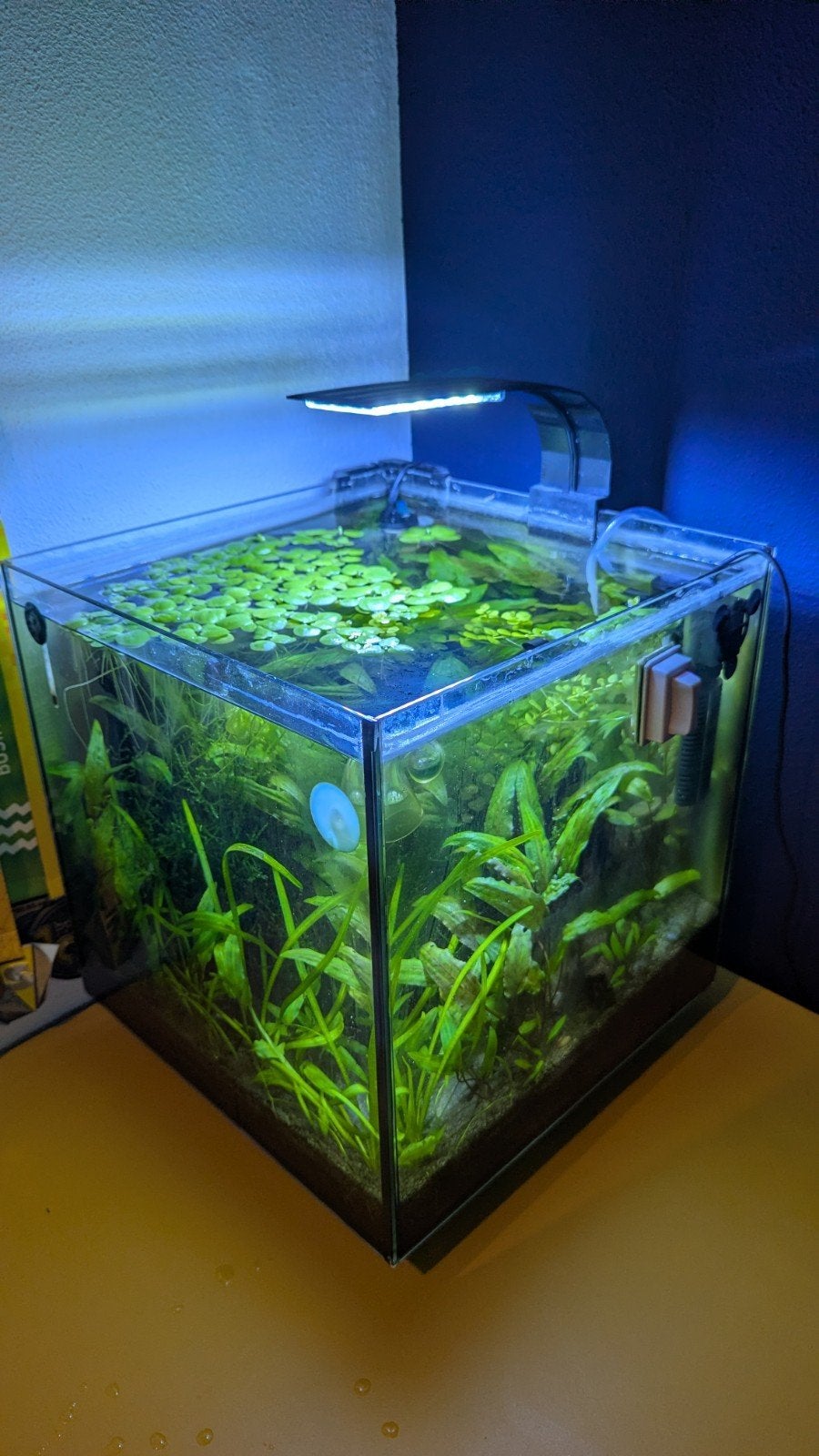 Superfish qubic 30, Ophalen