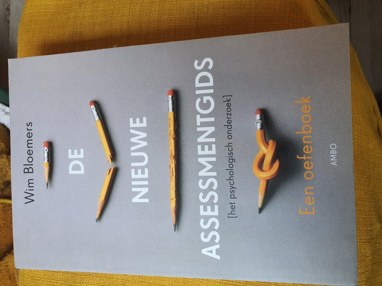 De Nieuwe Assessmentgids - Wim Bloemers (incl. verzending), Boeken, Ophalen