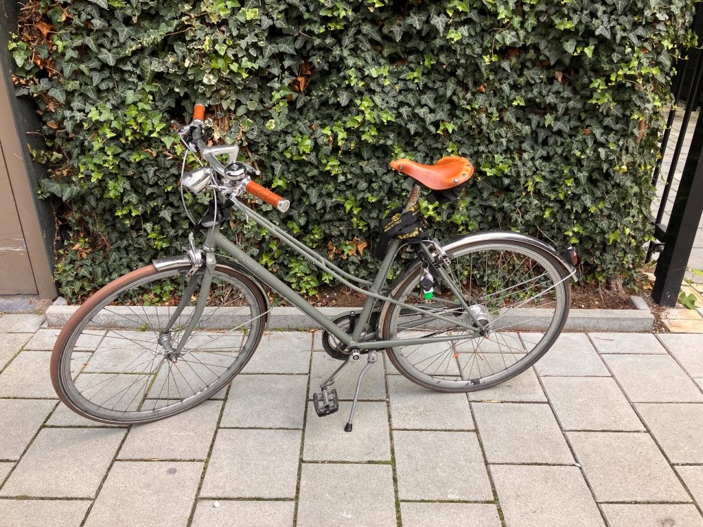 Gazelle Van Stael 7 versnellingen | Brooks zadel | 2023, Fietsen en Brommers, Ophalen, 53 tot 56 cm, Velgrem, (Extra) lage instap