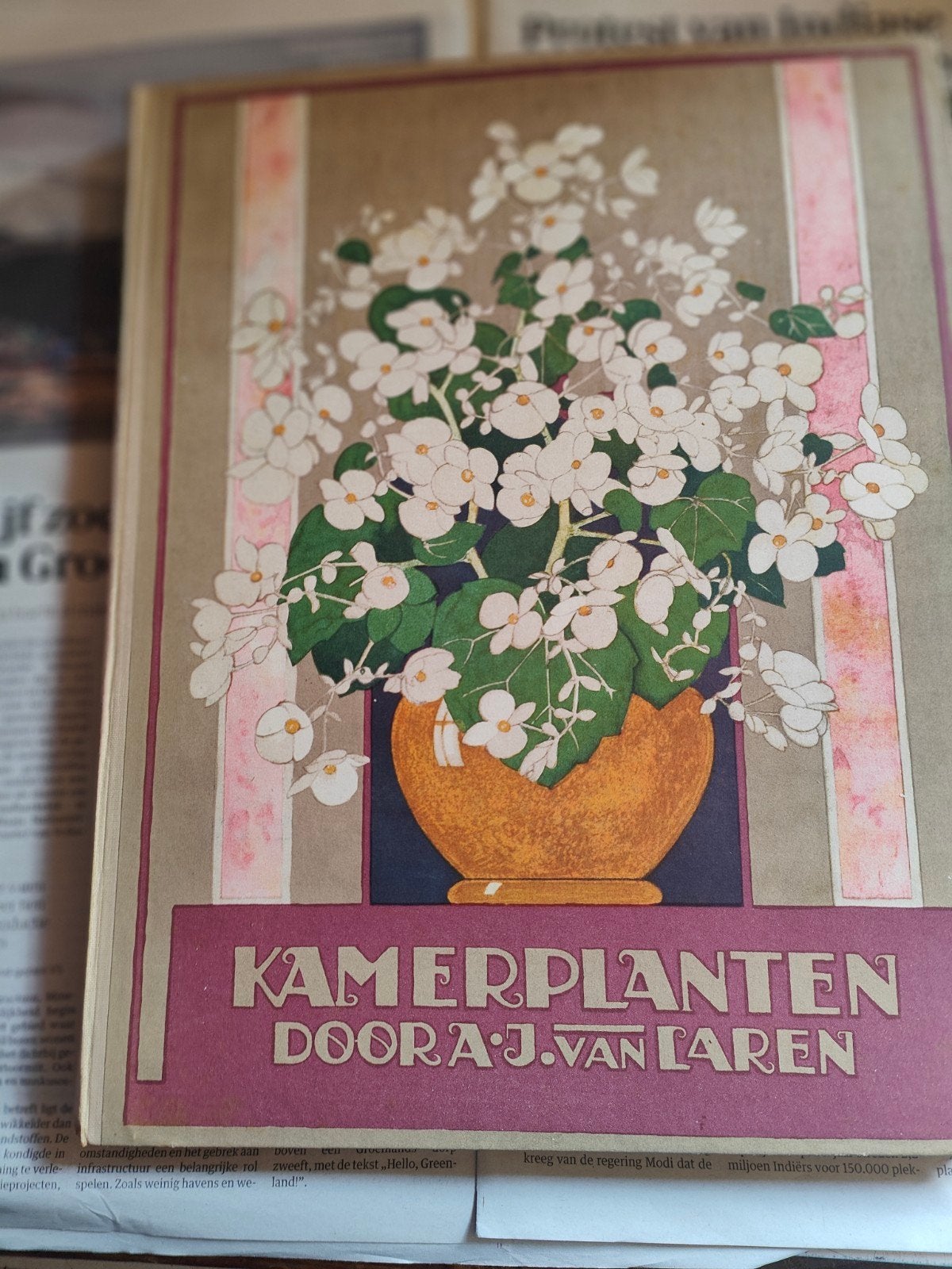 Kamerplanten A.J. van Laren - 1928 compleet met plaatjes, Antiek en Kunst, Ophalen of Verzenden, A.J. van Laren