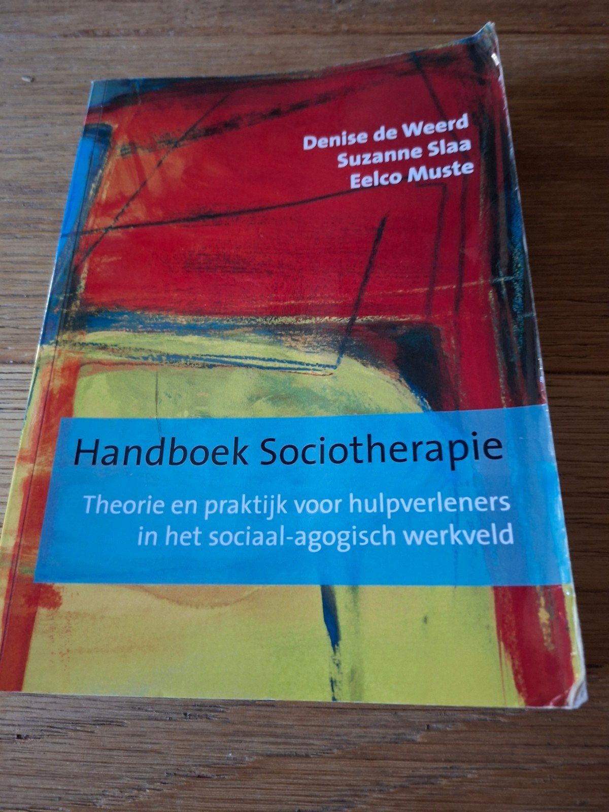 Handboek Sociotherapie - Theorie en praktijk, Gelezen, Gamma, Denise de Weerd, Suzanne Slaa, Eelco Muste, HBO