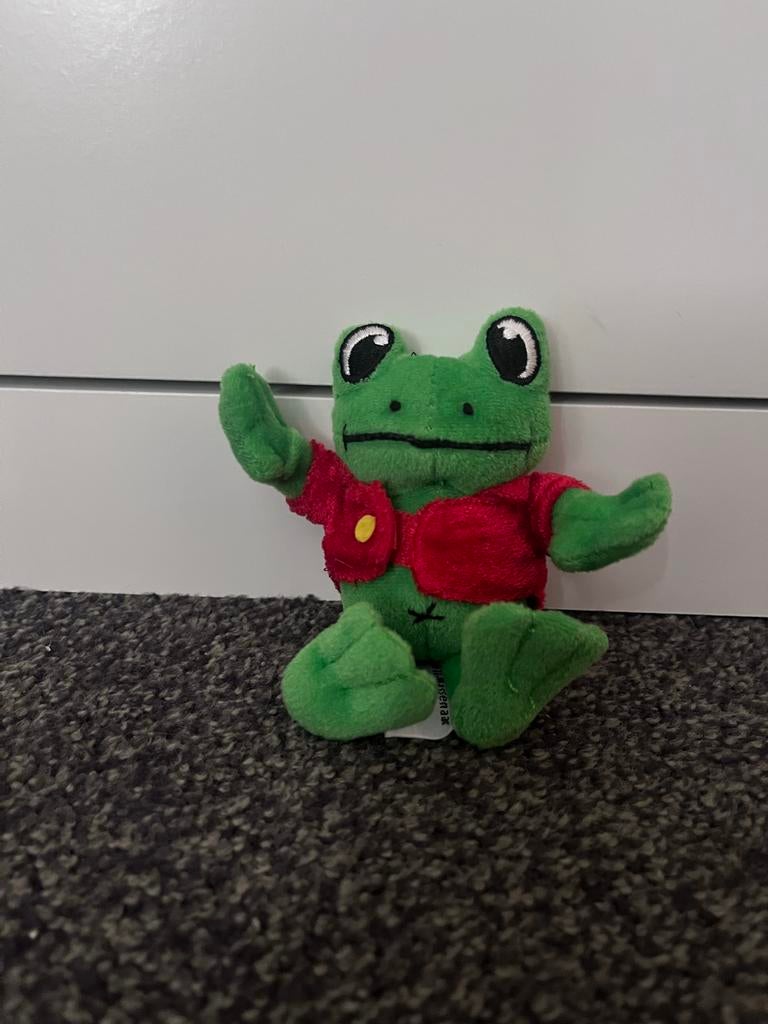 Leuke Duinrell Kikker Knuffel - Zo goed als nieuw, Kikker, Groen, Overige merken, Overige karakters