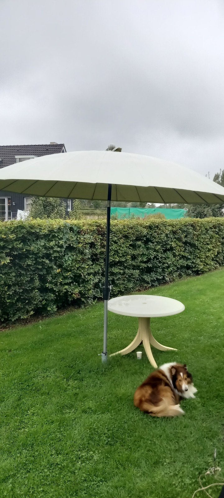 Grote parasol - Groen, Tuin en Terras, Ophalen, Verstelbaar, 2 tot 3 meter, Zweefparasol