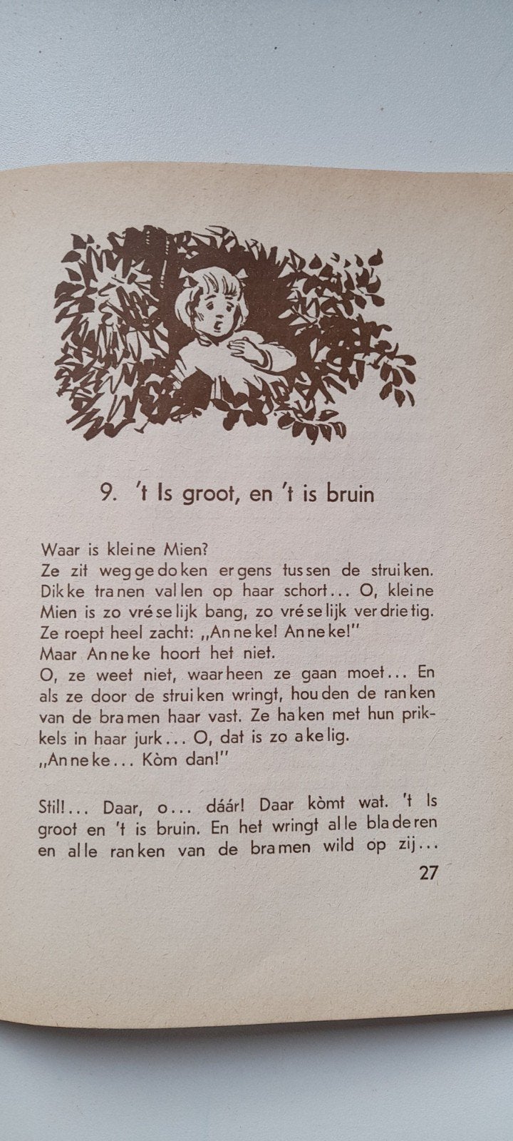 Oude kinderboekjes door W G van de Hulst, Ophalen of Verzenden, Gelezen, Fictie algemeen
