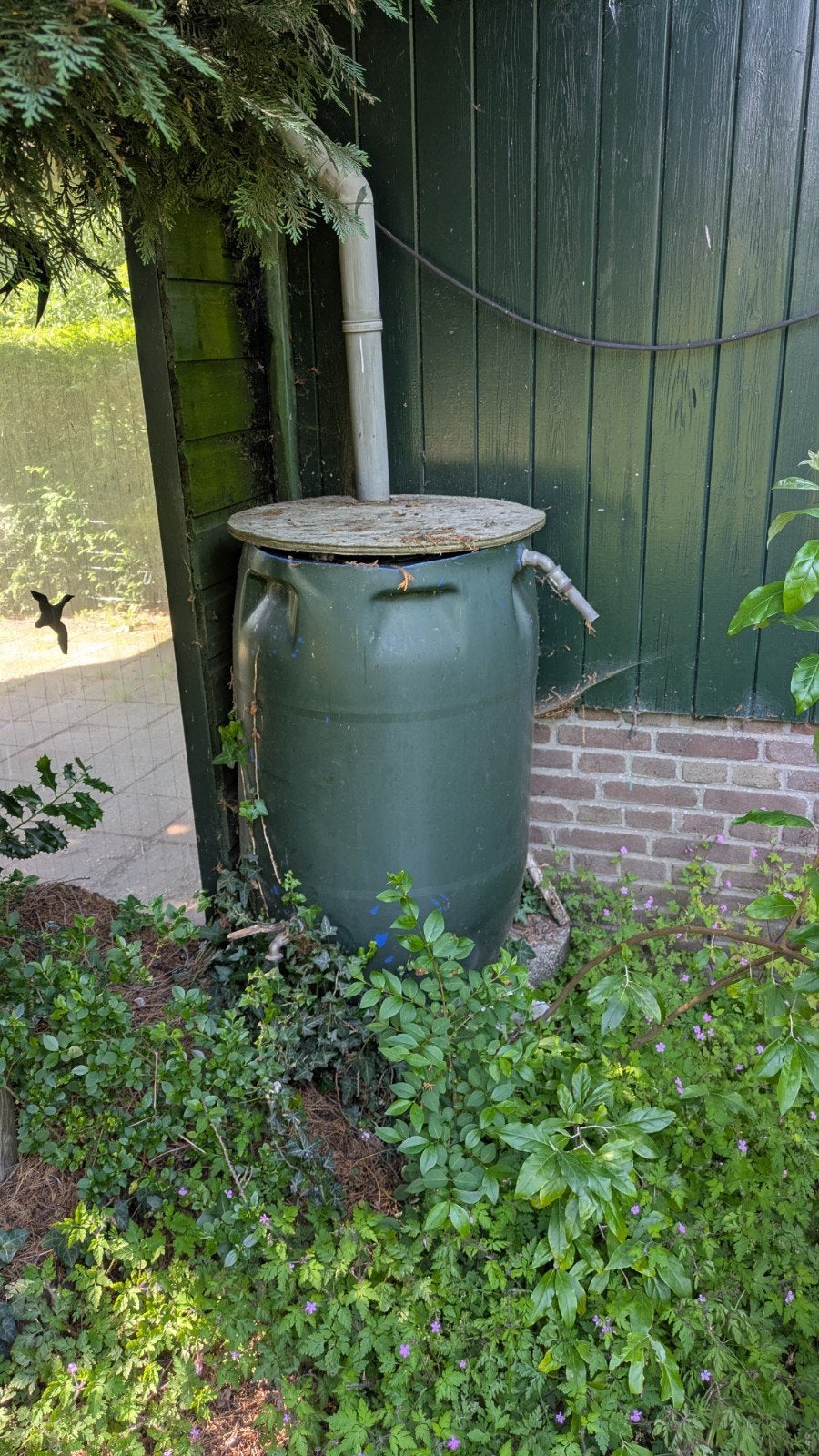 Regenton groen met kraantje en deksel, Ophalen, Kunststof, Gebruikt, Met kraantje