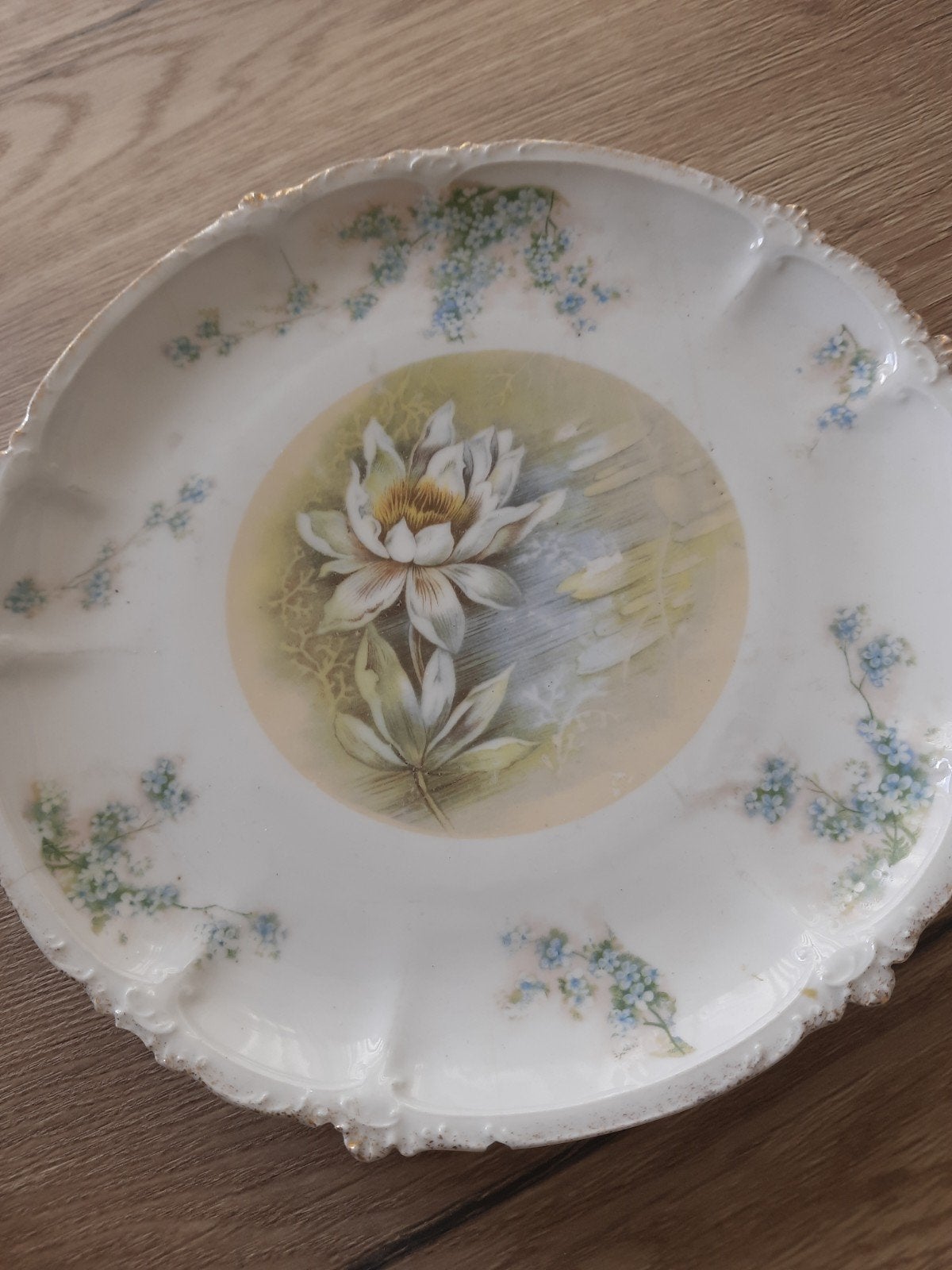 Vintage Rosenthal & Co bord met waterlelie decor, Antiek en Kunst, Ophalen of Verzenden