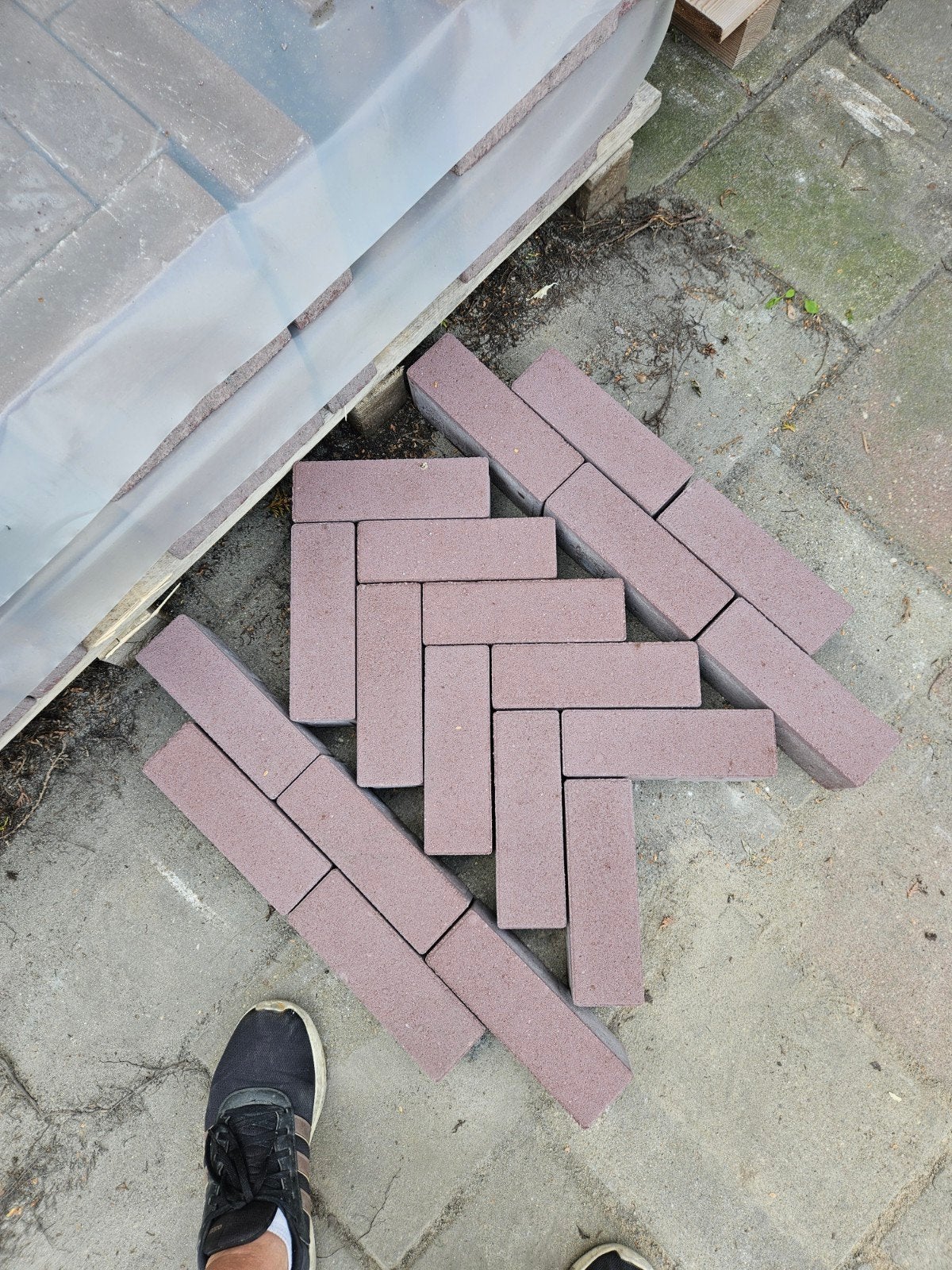 dikformaat 8cm wijnrood, Ophalen of Verzenden, Nieuw, Beton, Klinkers