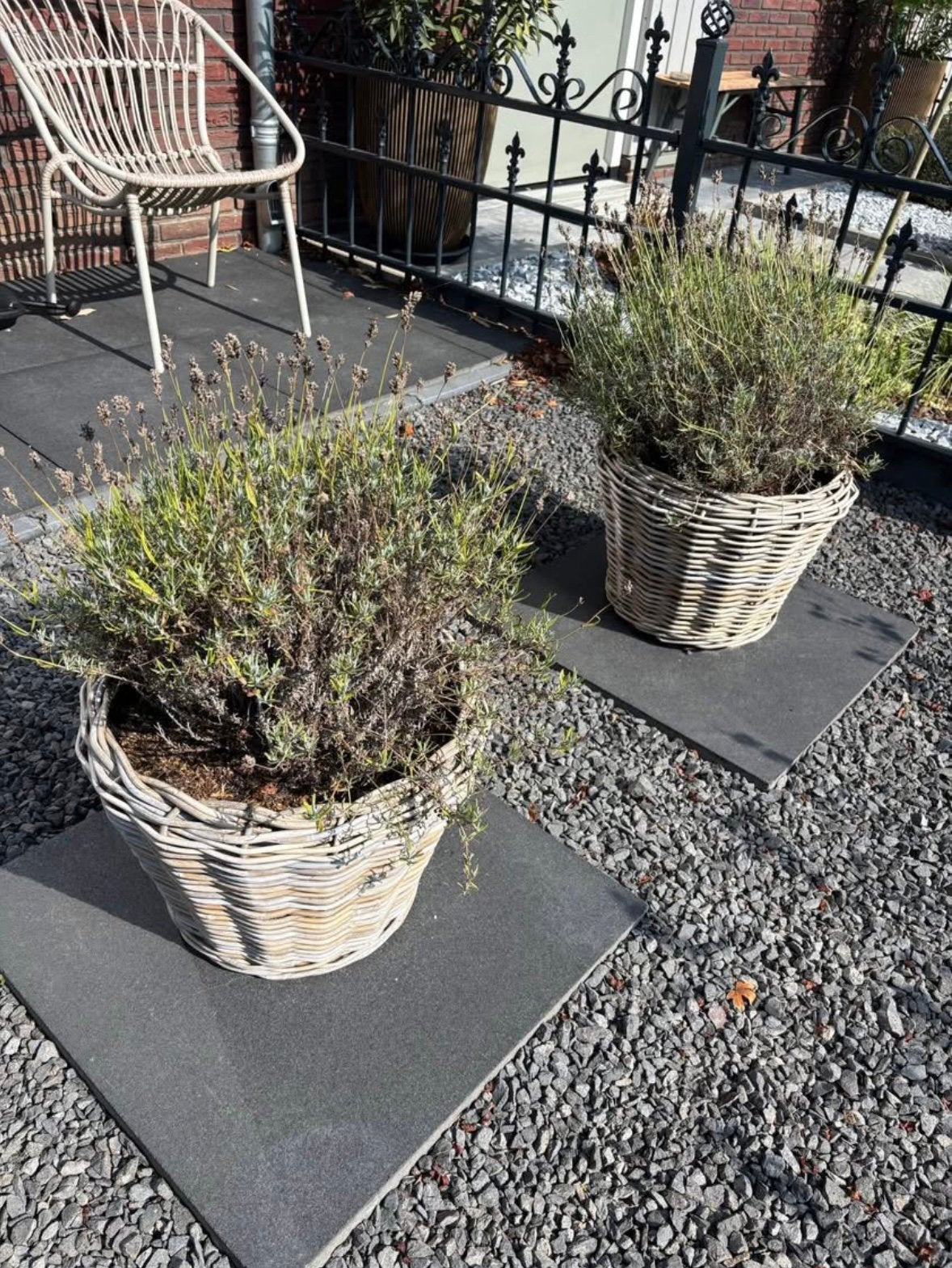 2 stuks plantenbakken, Tuin en Terras, Kunststof, Minder dan 30 cm, Rond, Ophalen of Verzenden