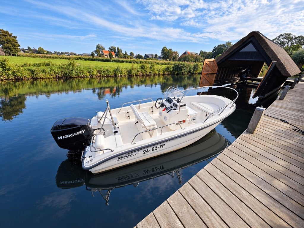 Boston Whaler 160 Dauntless, 115 PK Mercury, Watersport en Boten, Overige merken, Buitenboordmotor, Dieptemeter, 5 m