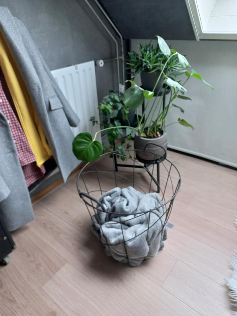 Metalen mand voor kleden of haardblokken, Ophalen, Rond, Metaal, Minder dan 30 cm