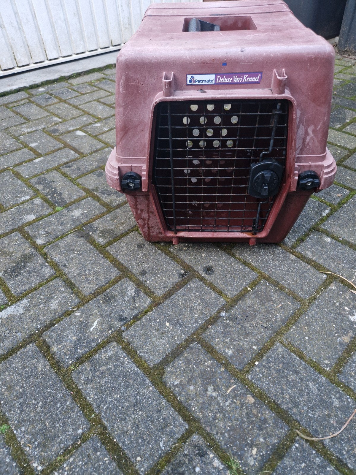 bench ook voor reizen een koopie, Dieren en Toebehoren, Ophalen of Verzenden