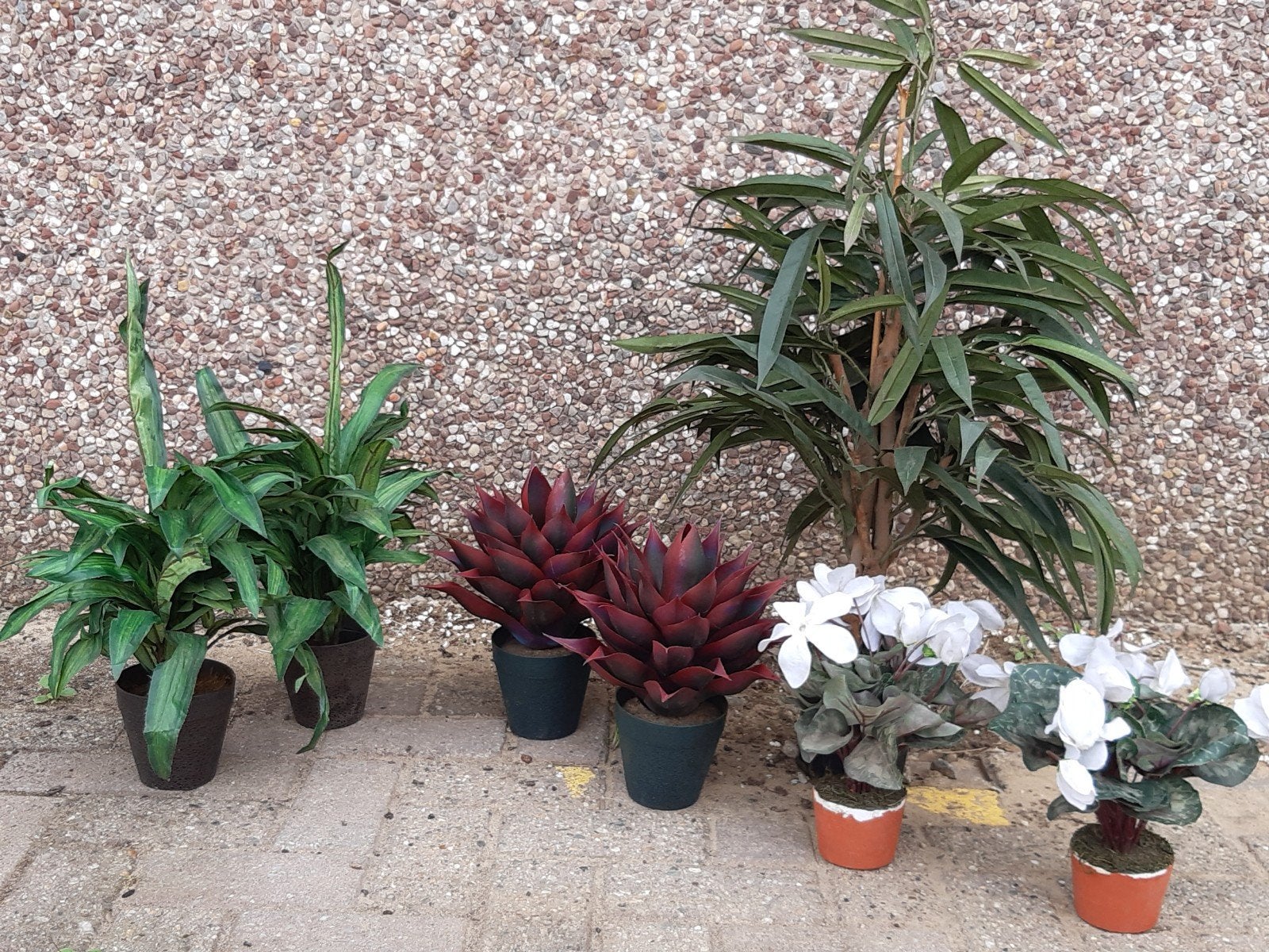 Mooie niet van echt te onderscheiden partij kunstplanten, Huis en Inrichting, Woonaccessoires | Kunstplanten en Kunstbloemen, Binnen