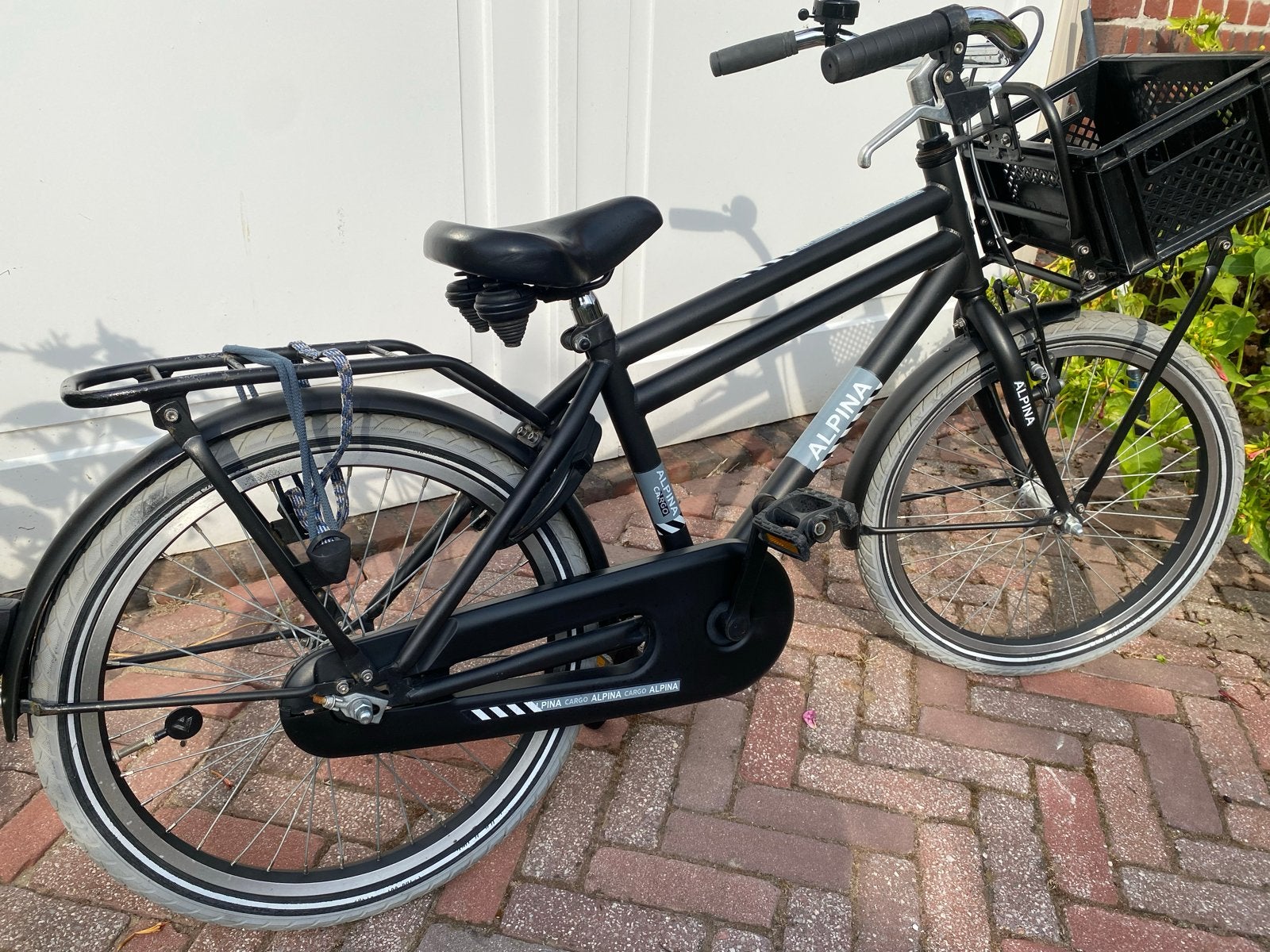 Nette Alpina Cargo 20 inch jongensfiets met voordrager, Ophalen, Terugtraprem, Gebruikt, Handrem
